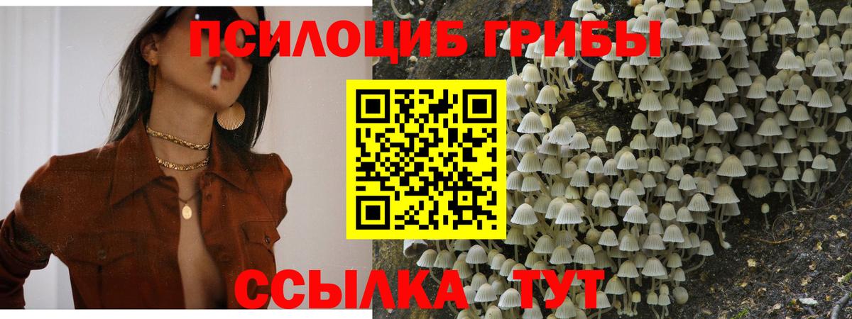 Псилоцибиновые грибы мухоморы Изобильный