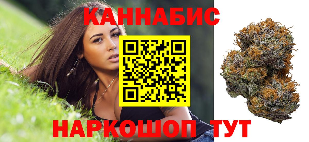 Канабис конопля Изобильный